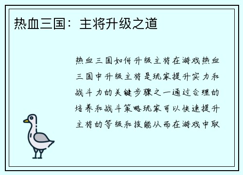 热血三国：主将升级之道